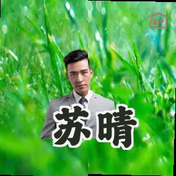 苏晴